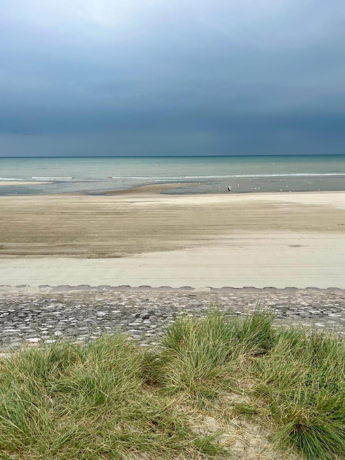 L Oree De La Pinede Hardelot Plage A 800 Metres De La Mer Sous Les Pins Luaran gambar