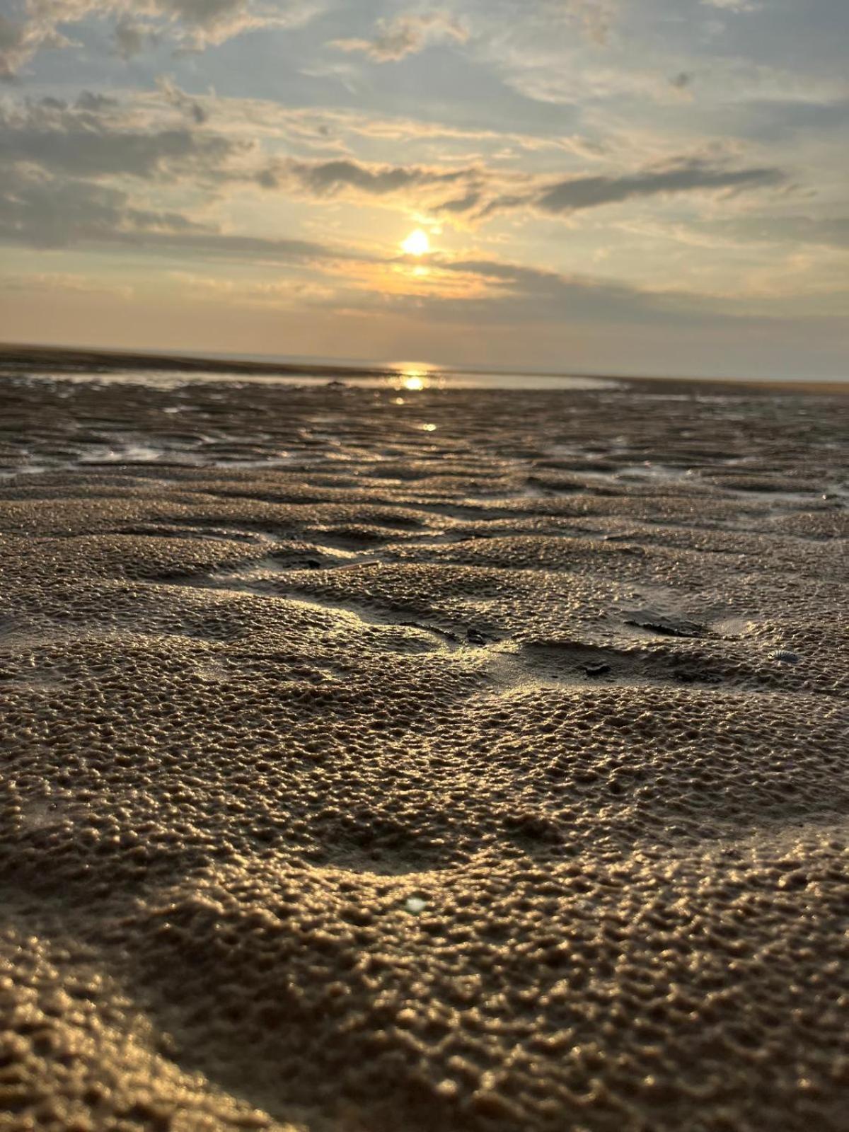 L Oree De La Pinede Hardelot Plage A 800 Metres De La Mer Sous Les Pins Luaran gambar