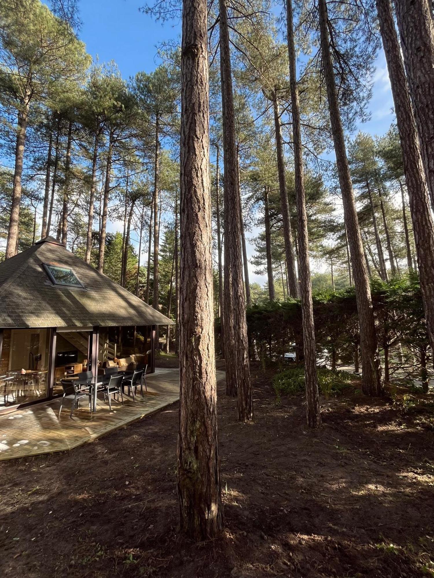 L Oree De La Pinede Hardelot Plage A 800 Metres De La Mer Sous Les Pins Luaran gambar