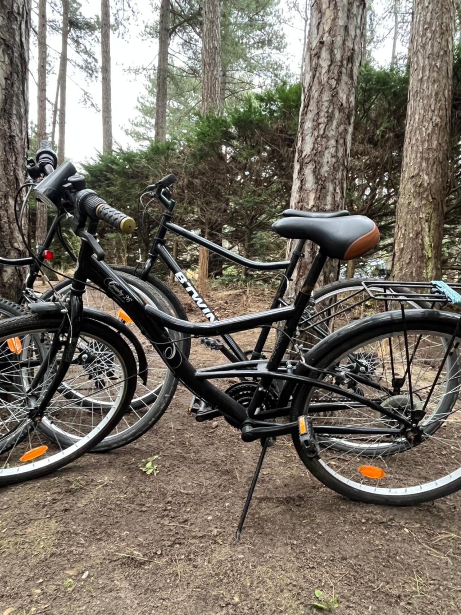 L Oree De La Pinede Hardelot Plage A 800 Metres De La Mer Sous Les Pins Luaran gambar